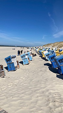 Strand und Strandkörbe 