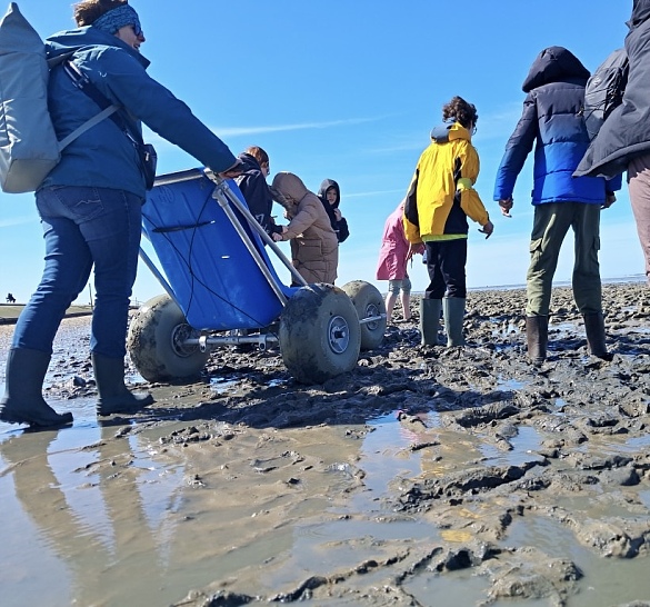 Sechs Schüler:innen stehen im Wattenmeer. Eine Lehrkraft schiebt das Wattmobil. 
