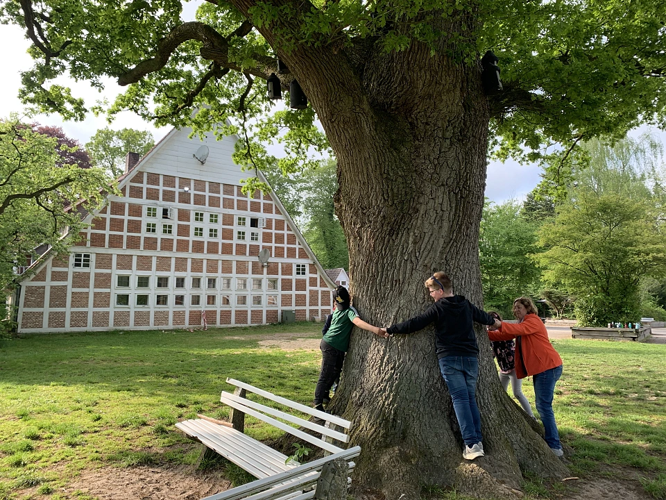 Drei Sch&uuml;ler:innen und eine Lehrerin stehen um einen Baum, halten sich an den H&auml;nden und umarmen den Baum. 