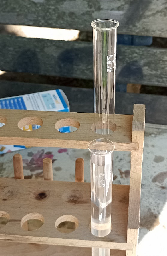 Reagenzgläser stehen in der einer Halterung. 