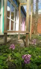 Zu sehen ist eine selbstgebaute Überdachung für Tomatenpflanzen, sowie im Vordergrund einige Blüten (Hyazinthen).